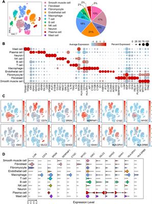 Integrated single-cell RNA-seq analysis reveals the vital cell types and dynamic development signature of atherosclerosis